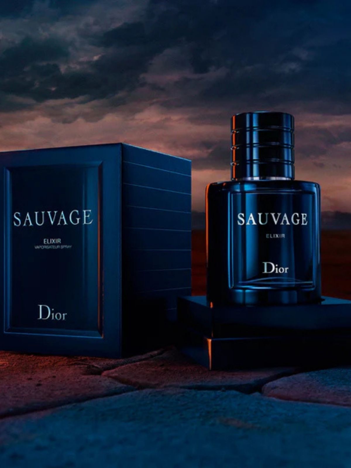 Dior Sauvage Elixir Erkek PARFÜM - 100 ML
