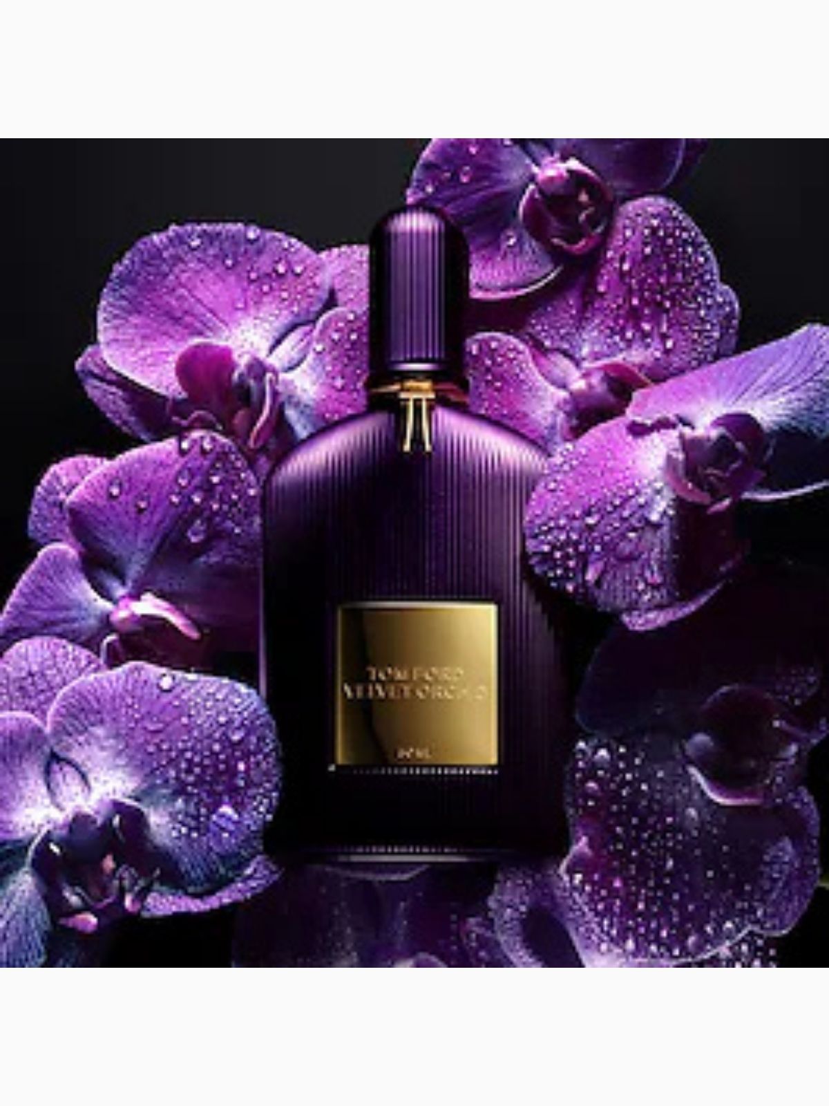 Tom Ford Velvet Orchid- Eau de Kadın Parfüm 100 ML