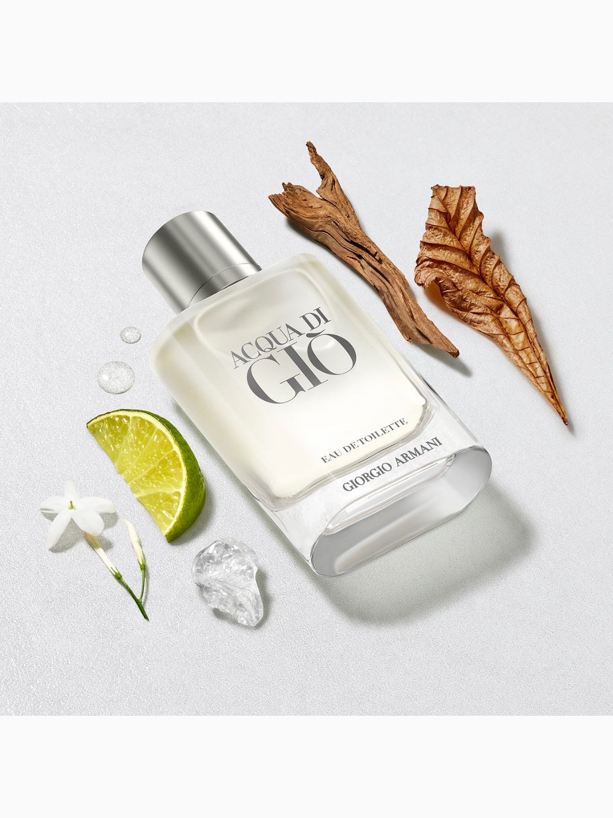 Gıorgıo Armani Acqua di gio - eau de Erkek Parfüm 100 ML